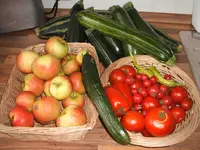 Garten 09.09 024.webp