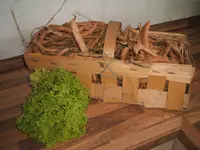 Garten 09.09 030.webp