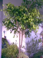 Bild001.webp