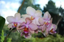 DSC_0007.webp