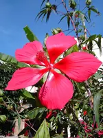 PICT5767.webp