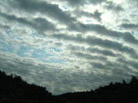 IMG_2587.webp
