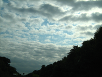 IMG_2588.webp