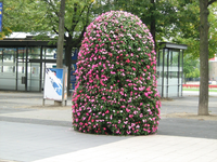 IMG_2589.webp