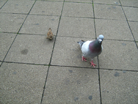 IMG_2594.webp