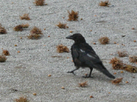 IMG_2599.webp