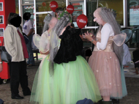 IMG_2602.webp