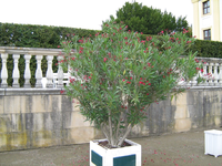 IMG_2603.webp