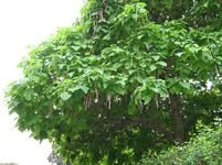 IMG_2613.webp