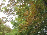 IMG_2614.webp