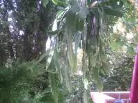 PIC00304.webp