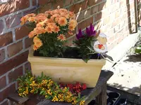 Blumen 122.webp
