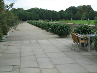 IMG_2617.webp
