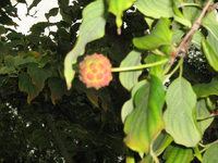 IMG_2620.webp