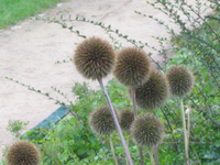 IMG_2623.webp