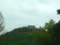 IMG_2631.webp