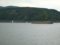 IMG_2634.webp