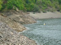 IMG_2635.webp