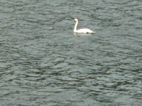 IMG_2636.webp