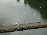 IMG_2645.webp