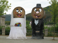 IMG_2649.webp