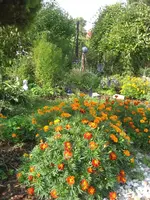 garten 09 008.webp