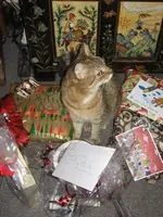 Weihnachten 2008 010.webp
