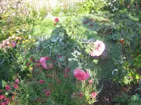 002.webp