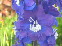 012.webp