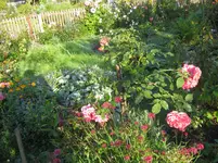 003.webp