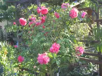 022.webp
