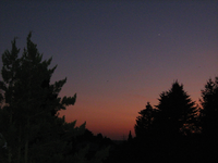 IMG_2657.webp