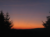 IMG_2659.webp