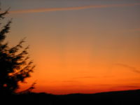 IMG_2665.webp