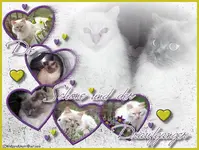collage-beate.webp
