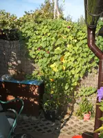 Garten 09.09 037.webp