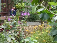 Blumen 052.webp
