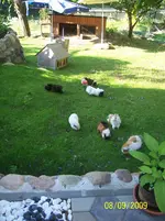 100_2107.webp