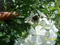 100_2091.webp