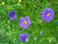100_2080.webp