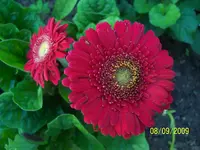 100_2101.webp