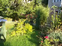 100_2079.webp