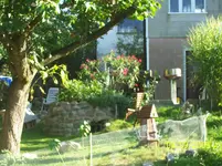 100_2092.webp