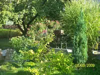 100_2099.webp