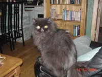 DSC00039.webp