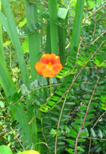 IMG_2673.webp