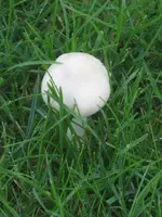 garten 09 010.webp