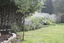 IMG_0918  1.webp