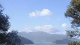 Kenepuru Sound (5) v.webp
