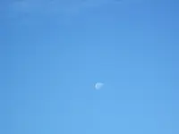 IMG_0544.webp